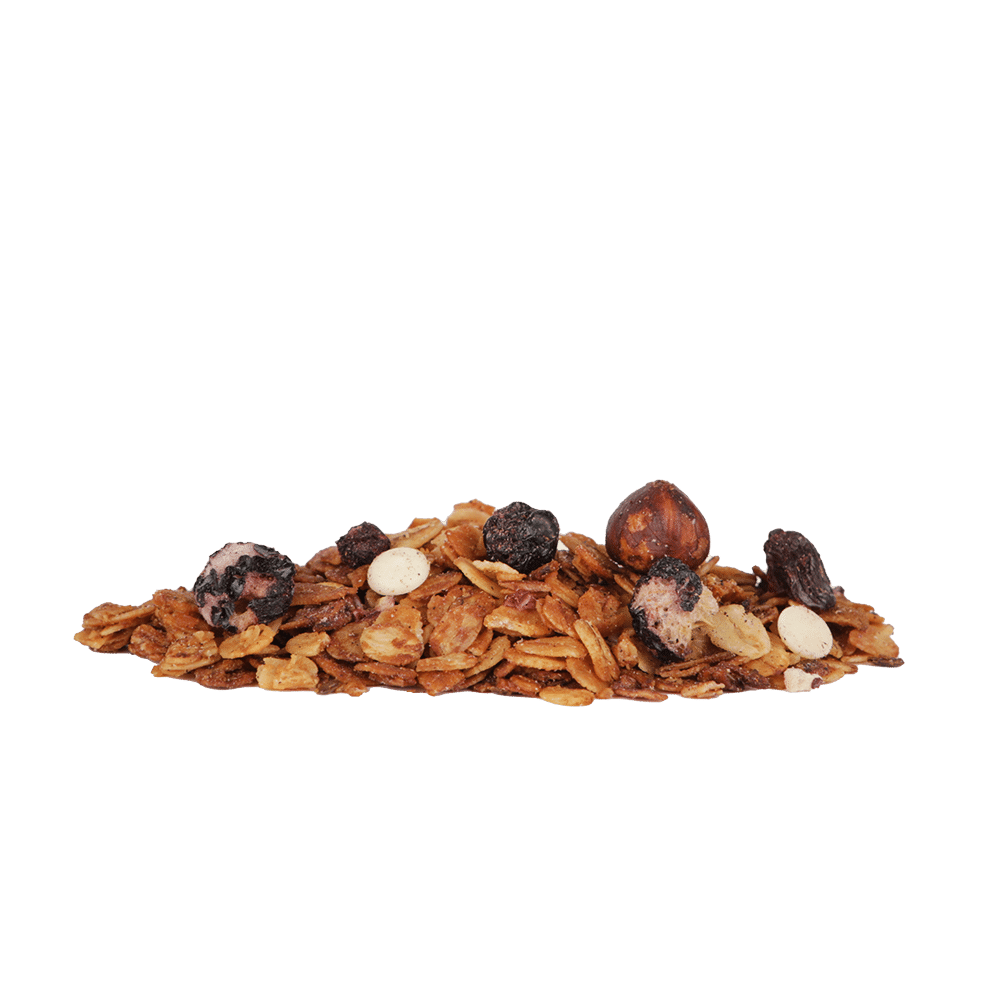 Ein Häufchen Knuspermüsli mit Blaubeere-Weisse Schokolade.