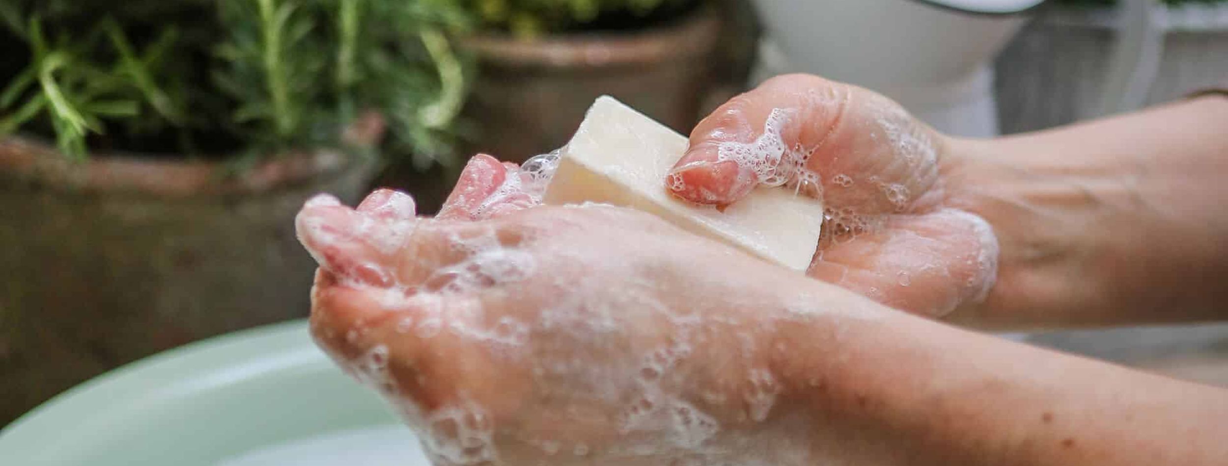 Eine Person wäscht sich mit Lanolin-Naturseife mit Zitrone die Hände.