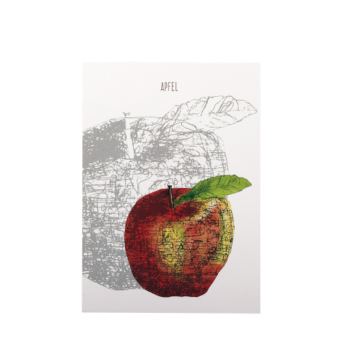 Postkarte mit einer Bleistiftzeichnung eines Apfels und eines farblich hinterlegten Apfels.