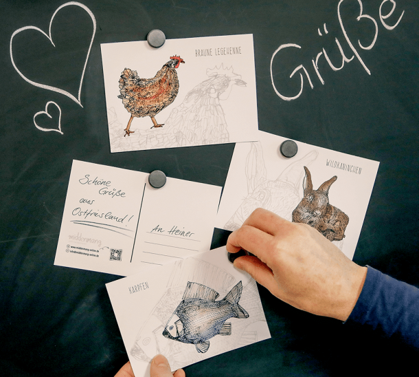 Drei Postkarten mit kunstvollen Motiven von Huhn, Kaninchen und Karpfen und eine beschriftete Rückseite, an einer schwarzen Pinnwand.