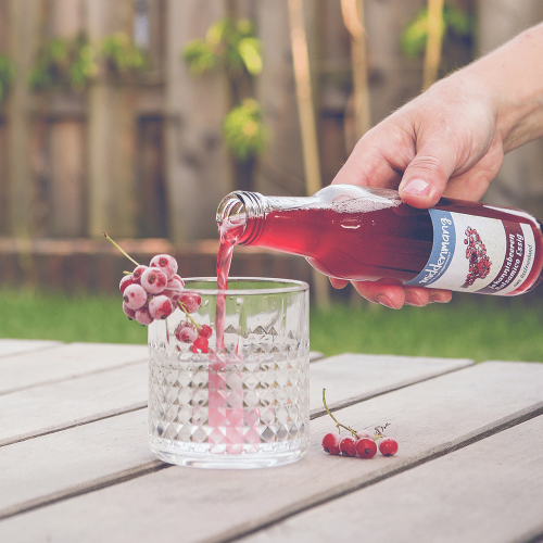 Johannisbeer-Fruchtessig als Erfrischungsgetränk mit Wasser gemischt in einem Glas mit Johannisbeeren.