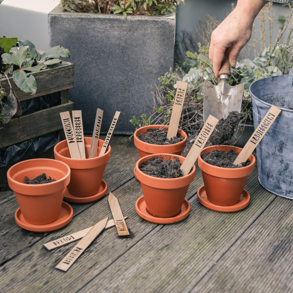 Verschiedene Pflanzenschilder aus Holz stecken in Kräutertöpfen.